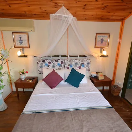 Orman Evi Blu Brezza Marine Hisaronu