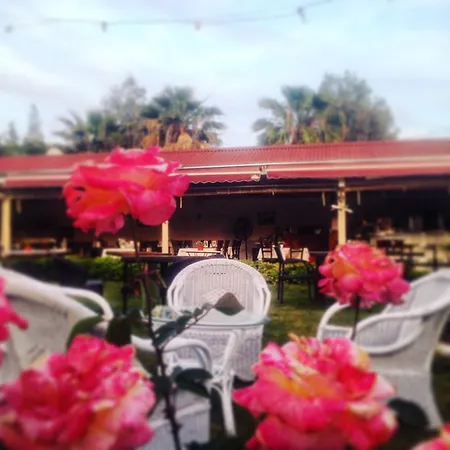 Orman Evi Blu Brezza Marine *