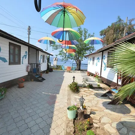 Orman Evi Blu Brezza Marine